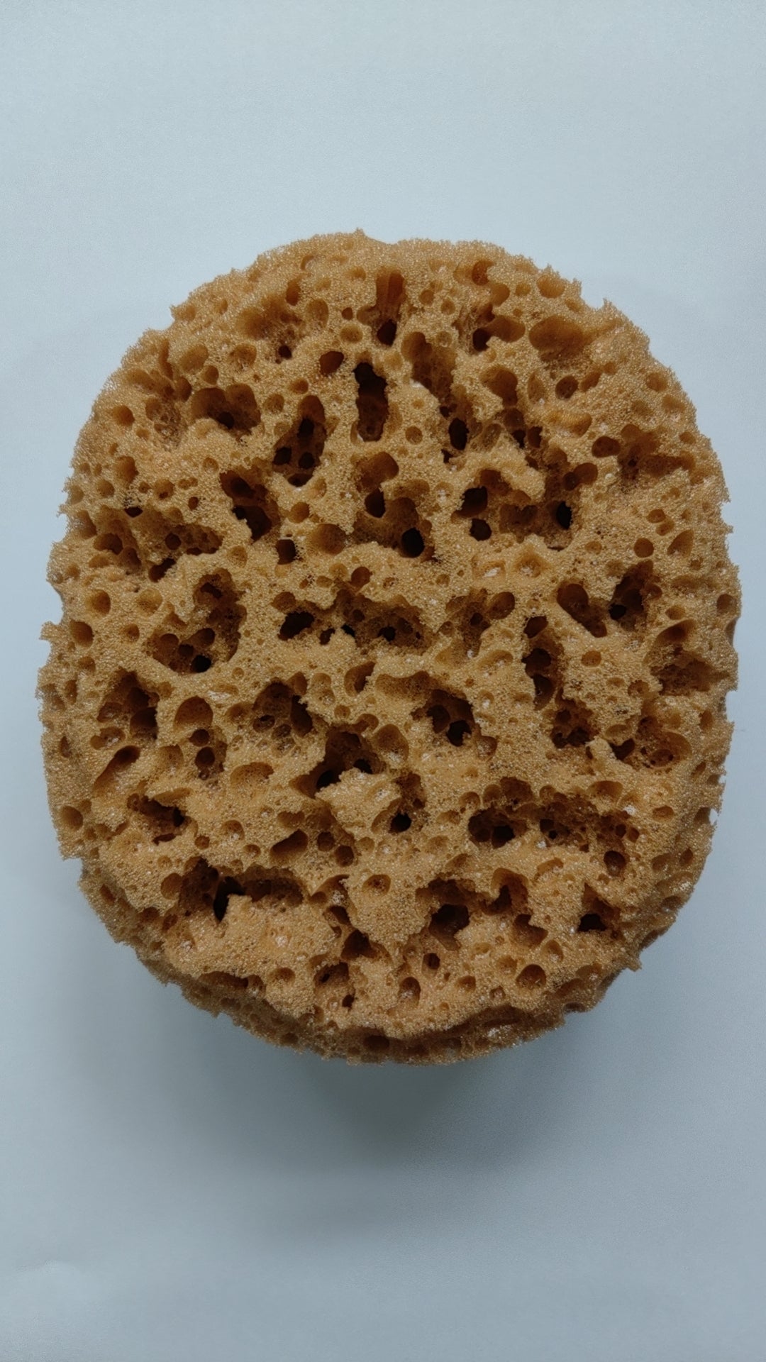 Stepsaver Products Texture Sponge
