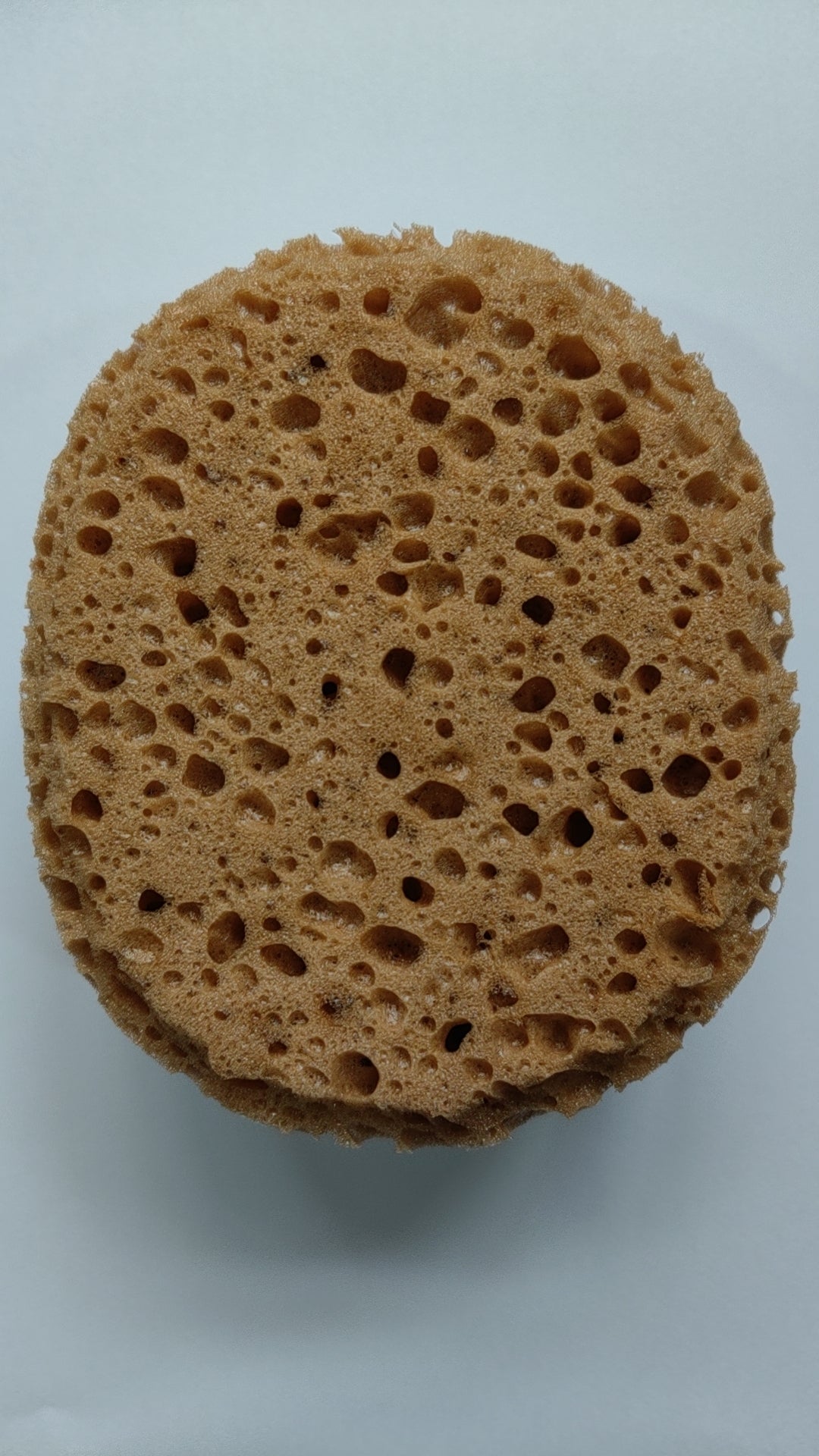 Stepsaver Products Texture Sponge