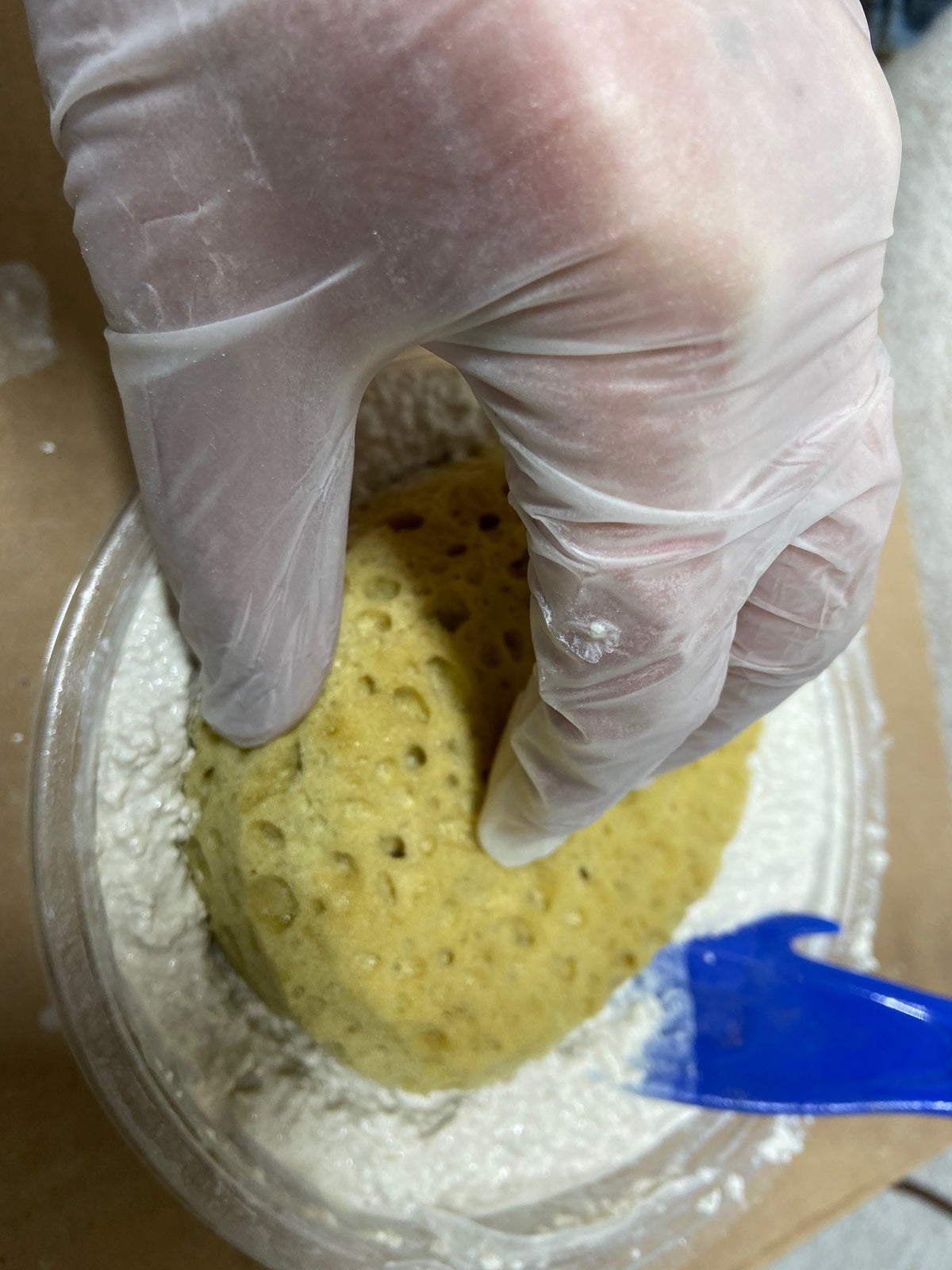 Stepsaver Products Texture Sponge